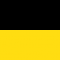 flag austrian empire