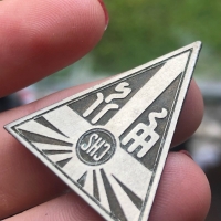 hasidic high school pin